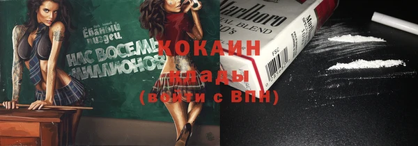spice Бородино