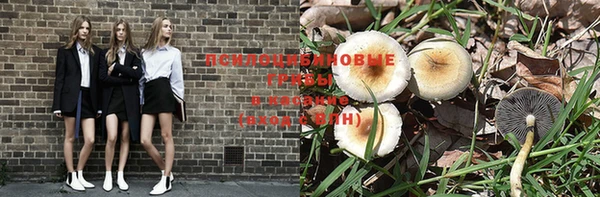 стаф Бугульма