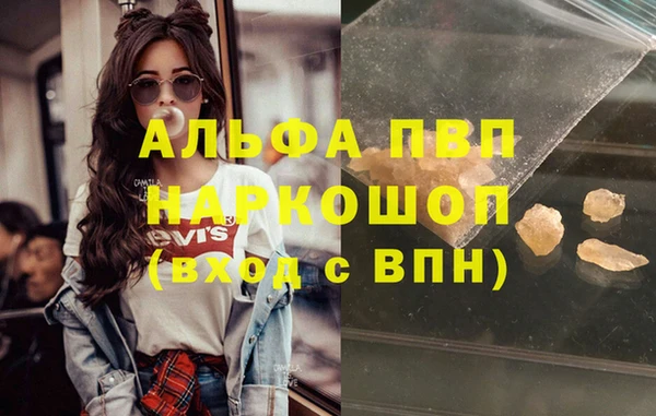 spice Бородино