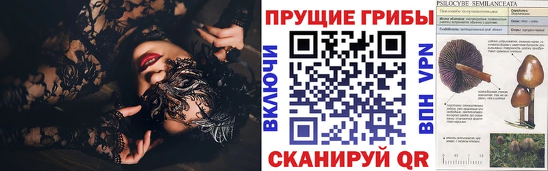 Псилоцибиновые грибы Psilocybine cubensis  Купить закладки  Печора 