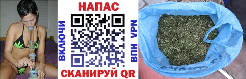 Купить закладки  Печора  МАРИХУАНА MAZAR 